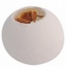 Boule de bain effervescente ORIENTALE 180G